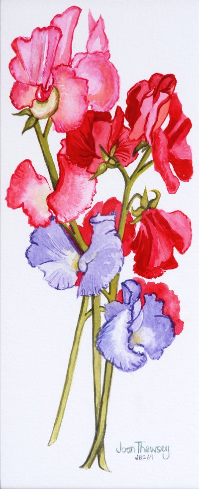 Three Sweet Peas by Joan Thewsey